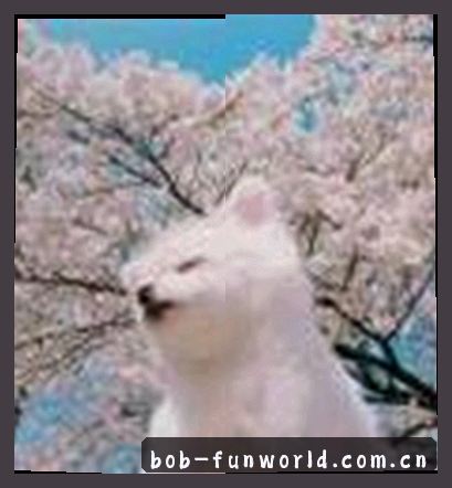 王梓